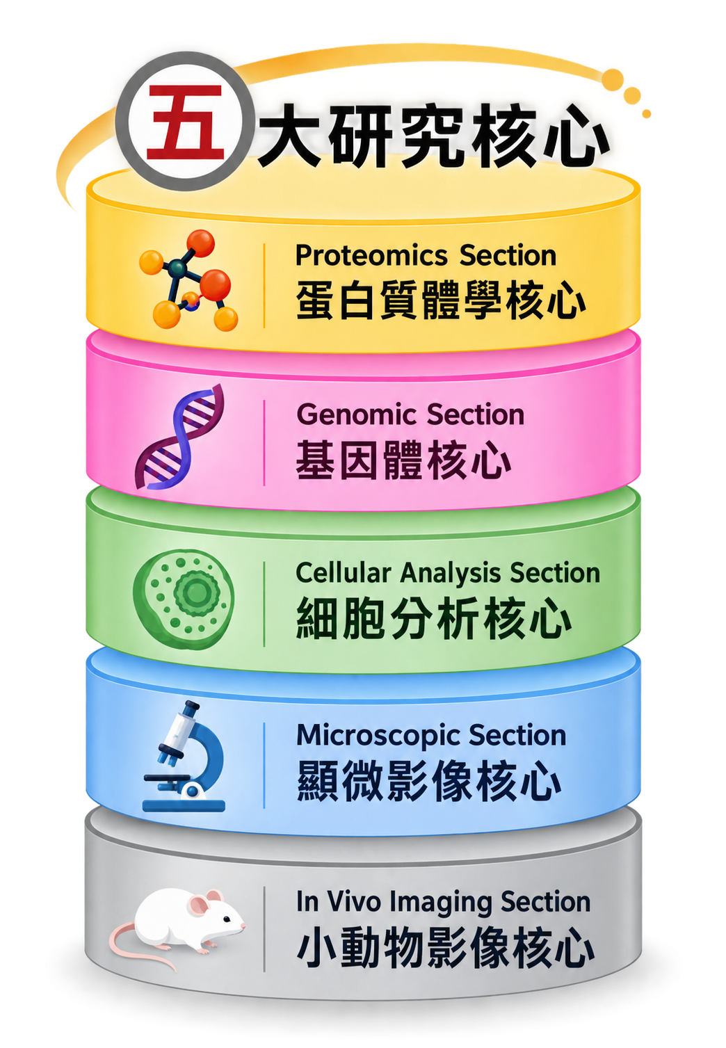 五大研究核心:蛋白質體學核心、基因體核心、細胞分析核心、顯微影像核心、小動物影像核心